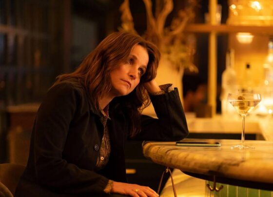 julia-louis-dreyfus-ve-seu-mundo-virar-de-cabeca-para-baixo-no-trailer-de-‘you-hurt-my-feelings’;-confira!