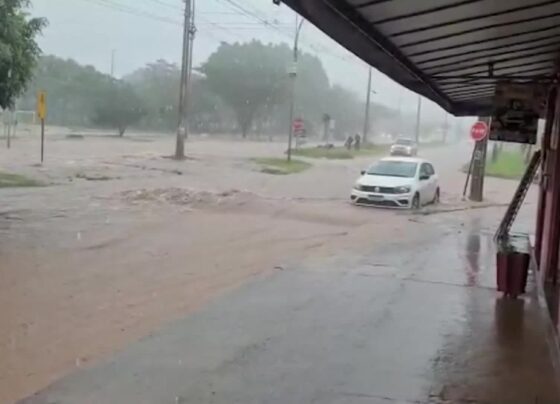 assista-a-integra-do-cidade-alerta-df-desta-terca-feira-(21)