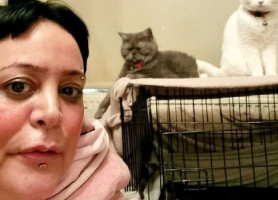 mulher-deixa-de-se-alimentar-para-dar-comida-a-seus-seis-gatos