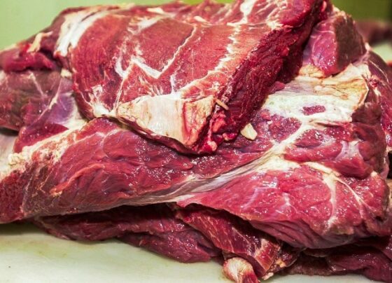 china-suspende-embargo-a-carne-bovina-brasileira