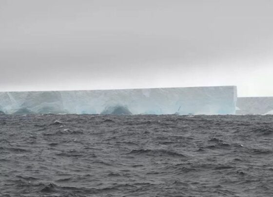 desprendimento-de-iceberg-colossal,-maior-que-sao-paulo,-alerta-comunidade-cientifica