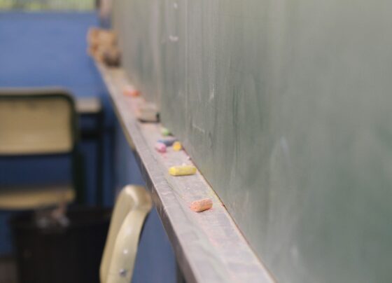 alfabetizacao-infantil:-mec-quer-padronizar-o-que-aluno-do-2o-ano-do-ensino-fundamental-deve-saber