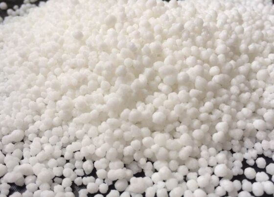 a-urina-humana-e-uma-boa-alternativa-ecologica-aos-fertilizantes-quimicos?