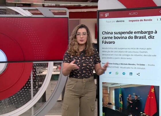 carne-bovina:-brasil-amplia-lista-de-frigorificos-com-aval-e-deve-reverter-prejuizo-apos-fim-de-embargo-da-china,-diz-ministro