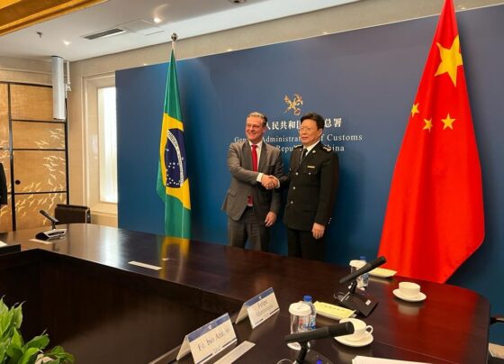 china-suspende-embargo-a-carne-bovina-do-brasil