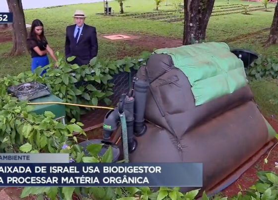 biodigestor-e-criado-para-processar-materia-organica