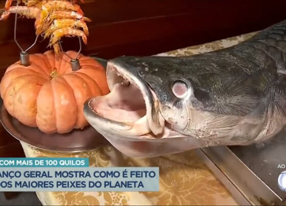 veja-como-e-preparado-o-pirarucu,-peixe-que-pesa-mais-de-100-kg