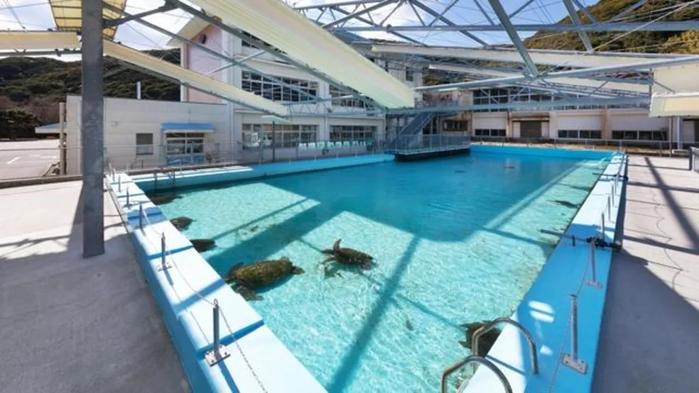 A inovadora solução do Japão para as escolas abandonadas por falta de alunos