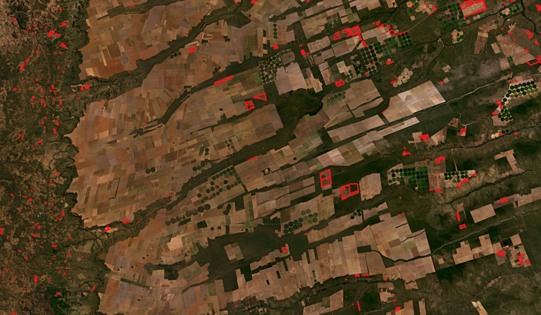 Desmatamento dobrou no Cerrado em setembro, diz instituto