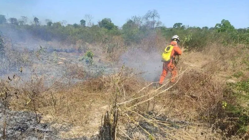 Bahia registra 107 focos de incêndios florestais em 48 horas, diz Inpe