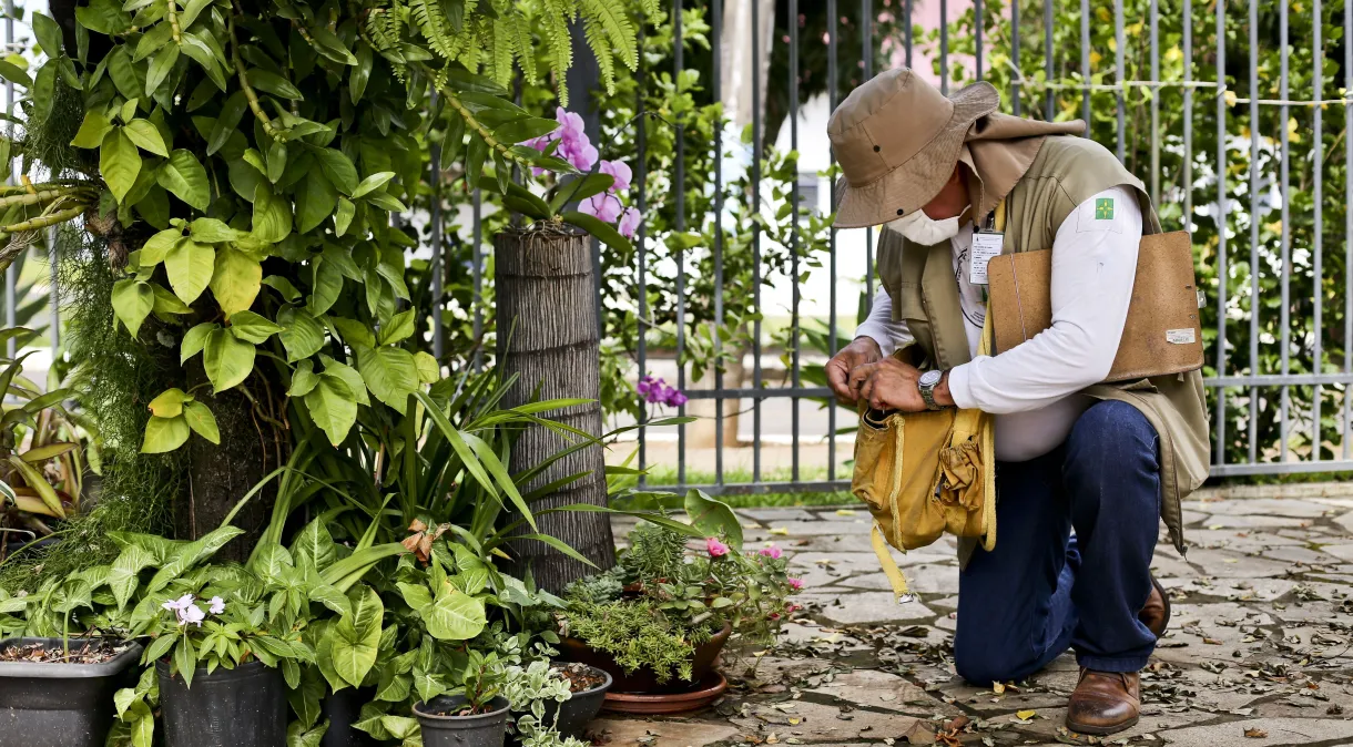 Exército vai ajudar estados e municípios no combate à dengue