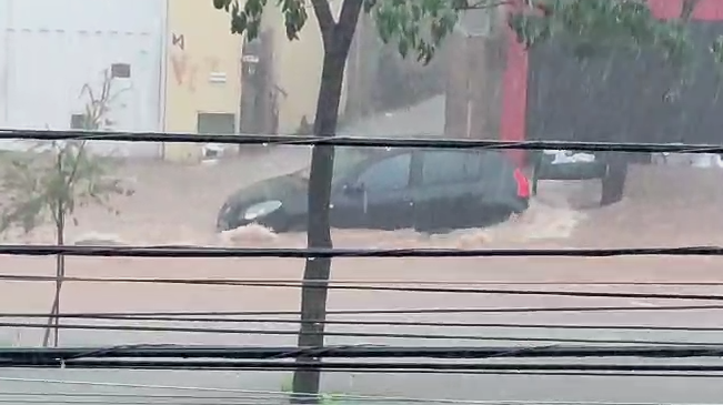 Chuva em MG deixa ruas alagadas, arrasta carros e água invade casas