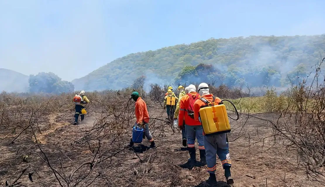 Incêndio no Pantanal está controlado, diz Instituto Homem Pantaneiro