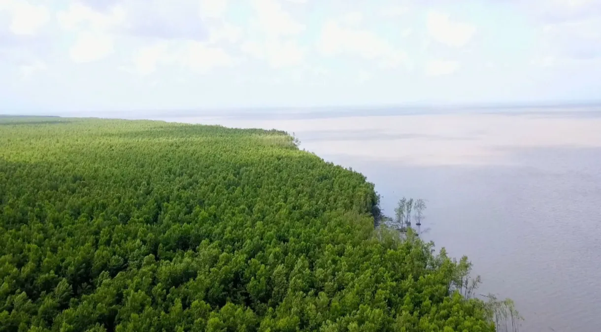 Projeto de gestão de água na região amazônica deve beneficiar mais de mil pessoas