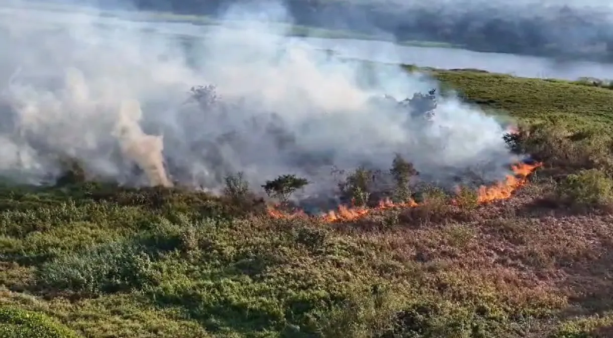 MS declara emergência em municípios atingidos por incêndios florestais