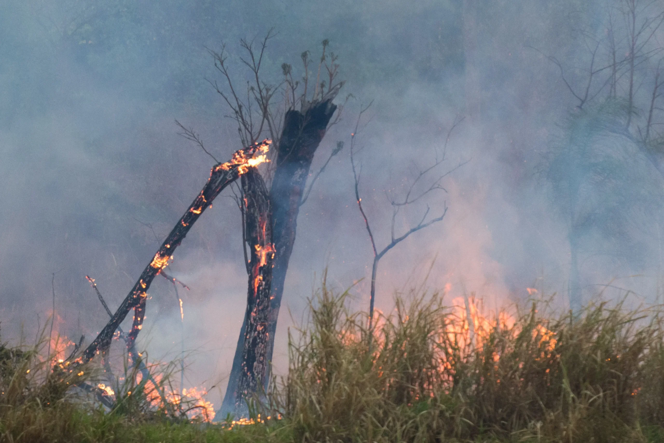 Inpe: Queimadas aumentaram 78% em 2024 no Brasil