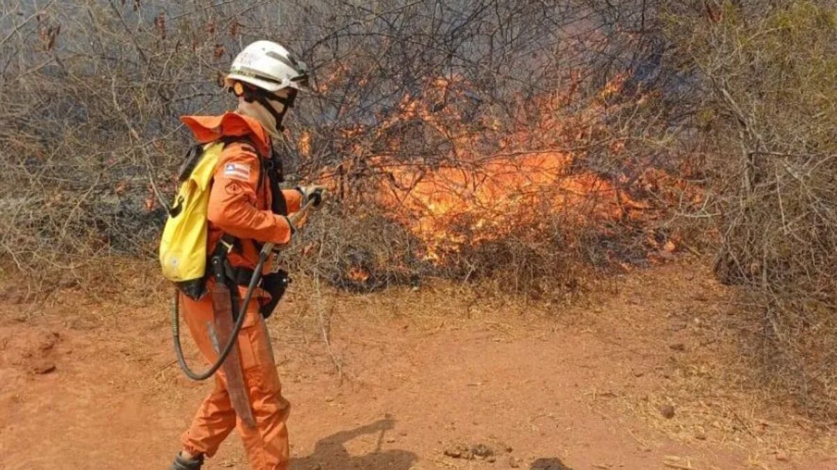 Bahia enfrenta vendavais, seca e focos de incêndio em cinco cidades