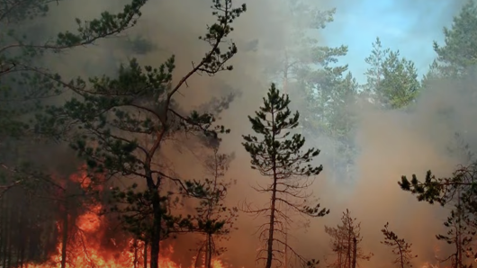 SP: Defesa Civil emite alerta para risco de incêndio em quase todo o estado