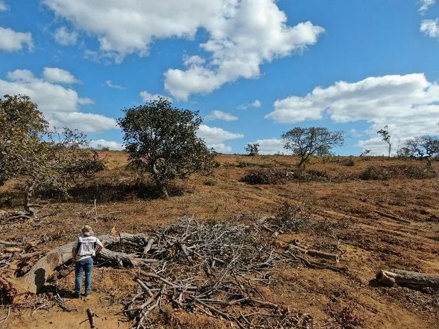 Regra do CNJ prevê possibilidade de indenização milionária por impacto de desmatamentos