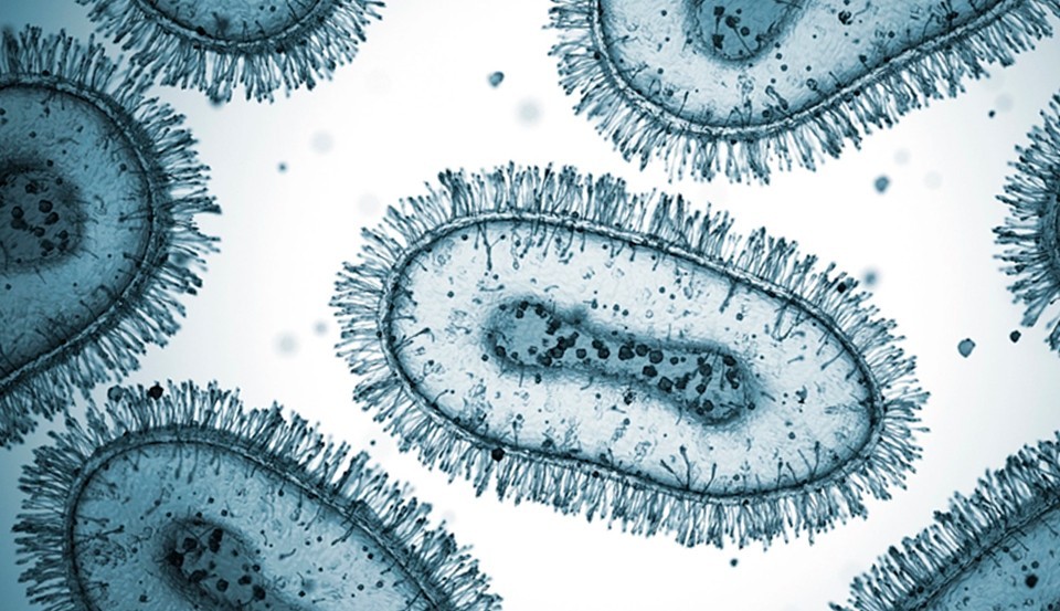 Mpox: entenda o que mudou do surto de 2022 para o atual