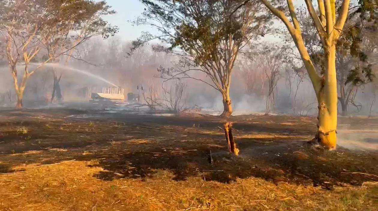 São Paulo tem sete focos de incêndios ativos neste sábado (7)