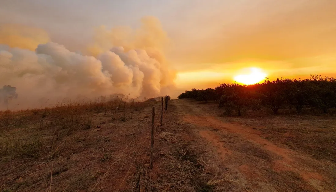 Calor se intensifica e pelo menos 18 cidades de São Paulo registram focos de incêndio