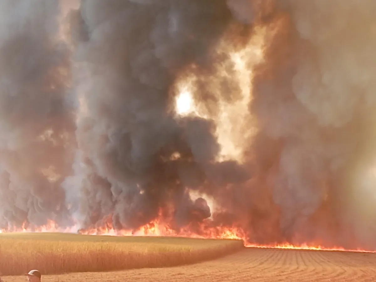 Governo deve propor até seis anos de prisão para quem provocar incêndio florestal