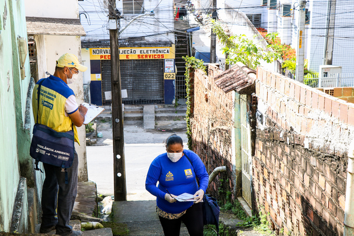São Paulo realiza Dia D de Prevenção e Combate à Dengue