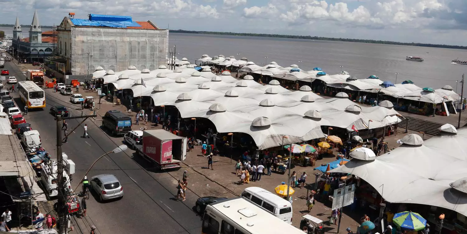 Projeto leva estudantes à COP30 em Belém; inscrições abertas