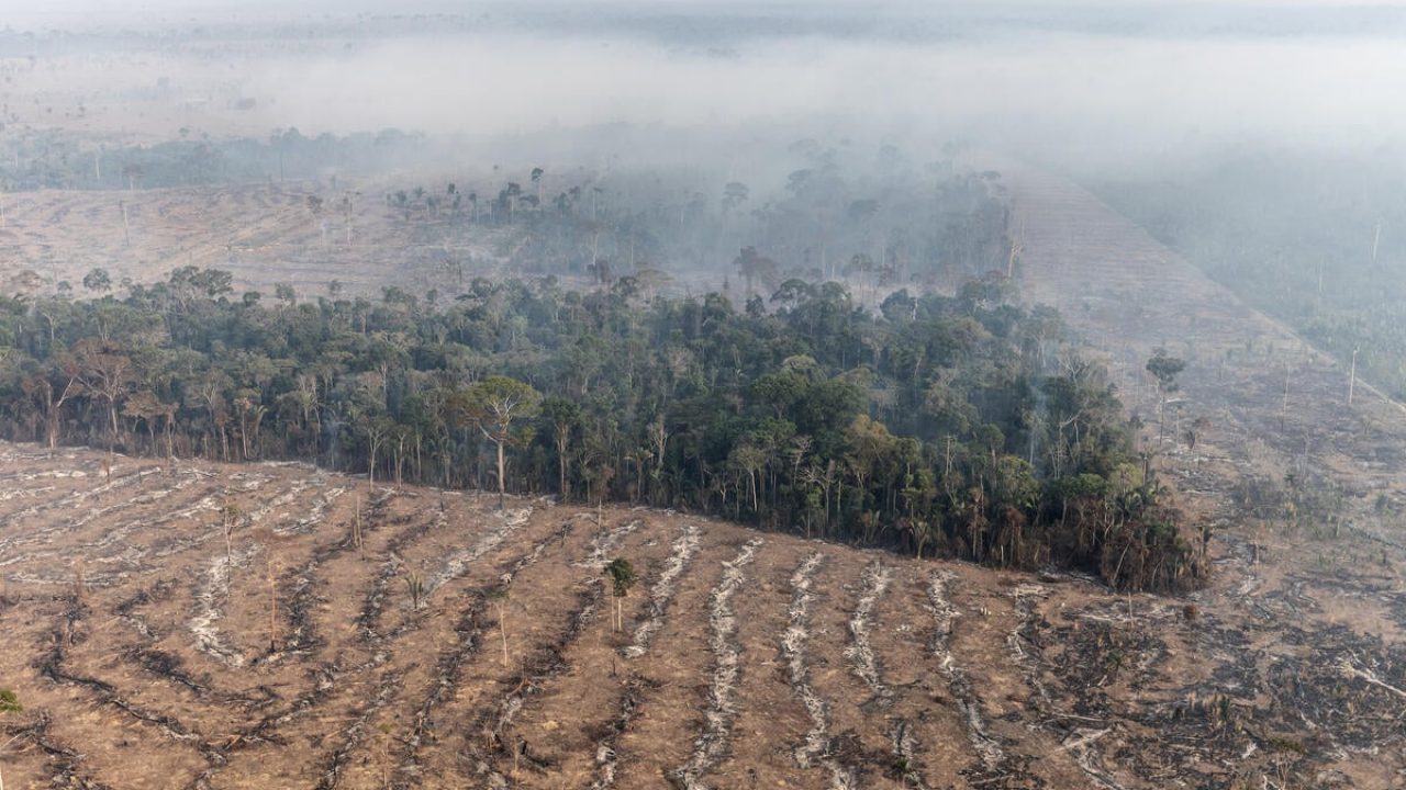 Amazônia: Só 5% das condenações por desmatamento resultam em indenizações