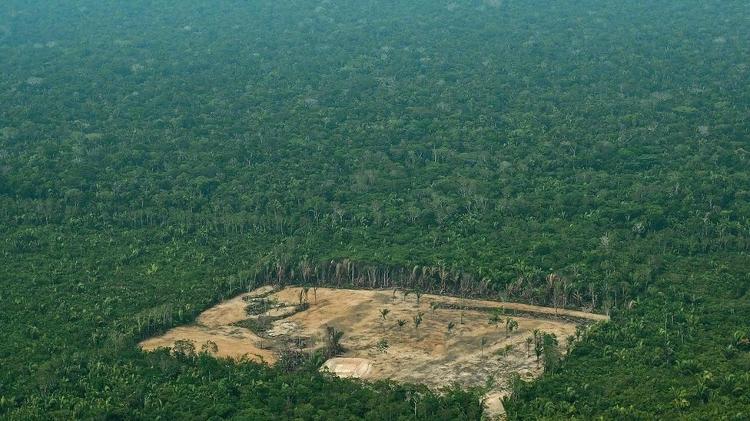 Brasil avança no combate ao desmatamento na Amazônia