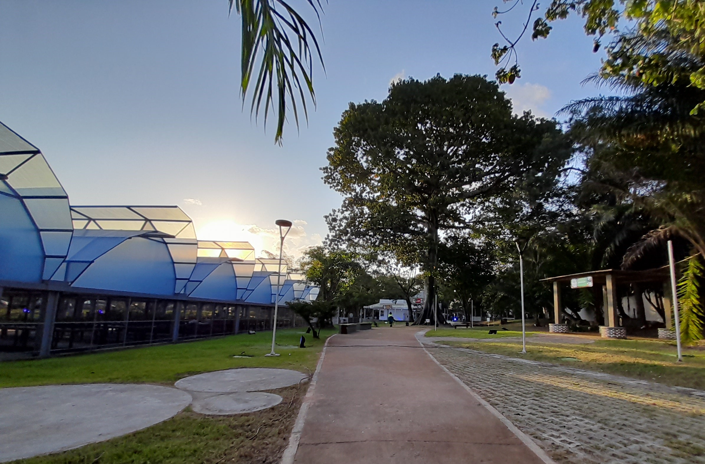 Semana do Meio Ambiente terá atividades sustentáveis e educativas em diversos pontos da cidade