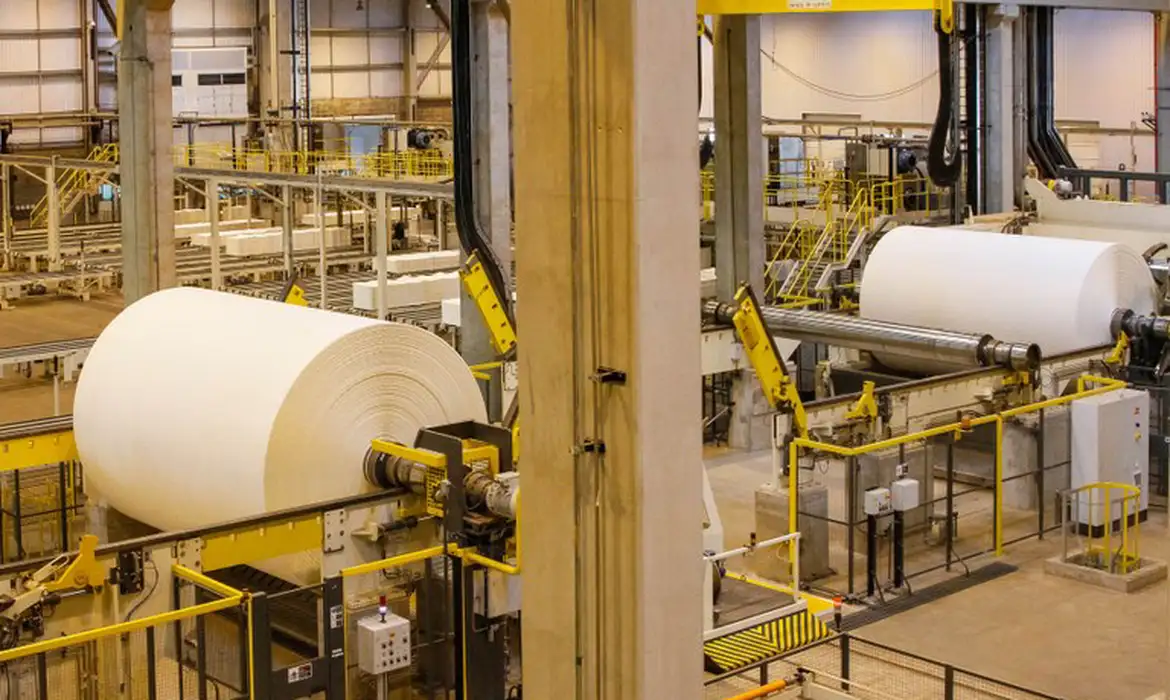 EUA retiram taxa das exportações nacionais de celulose e ferro-níquel