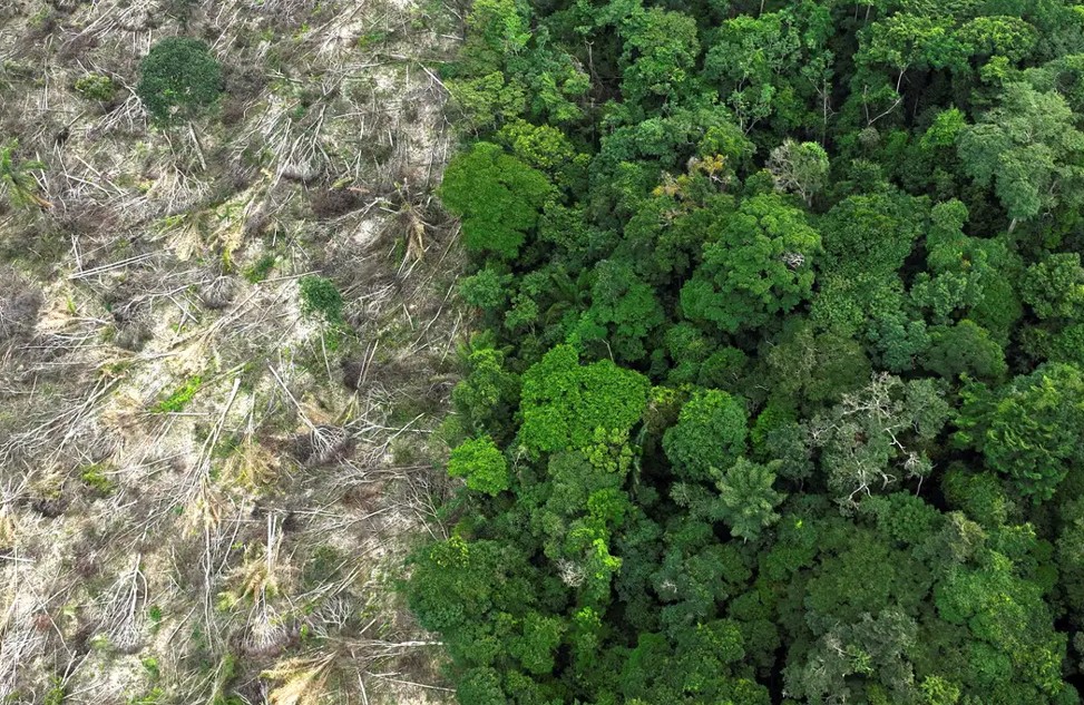 Pesquisa mede impacto de mudanças do clima e desmatamento na Amazônia