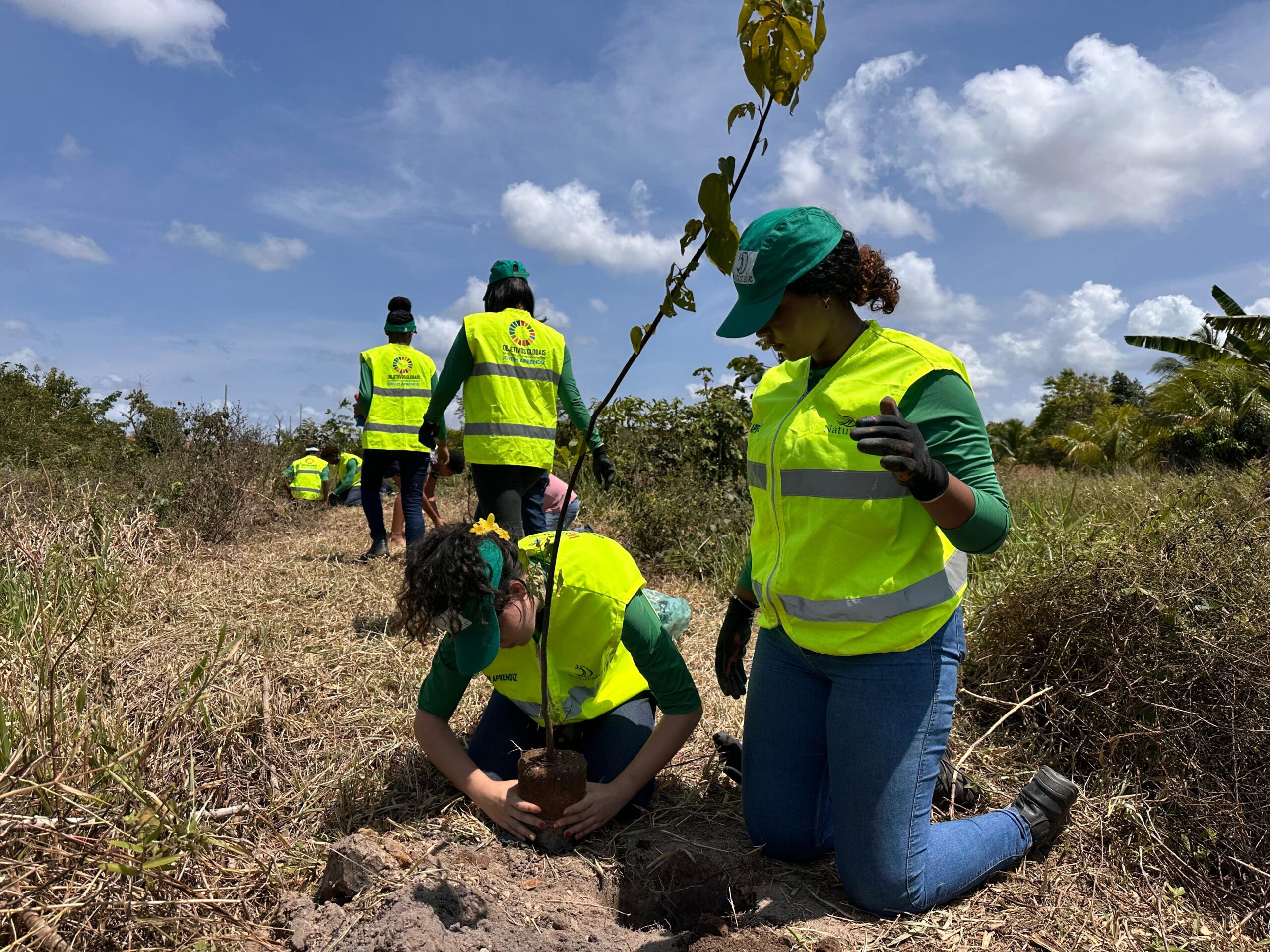 Sedur realiza plantio de 500 mudas nas nascentes do Rio Capivara