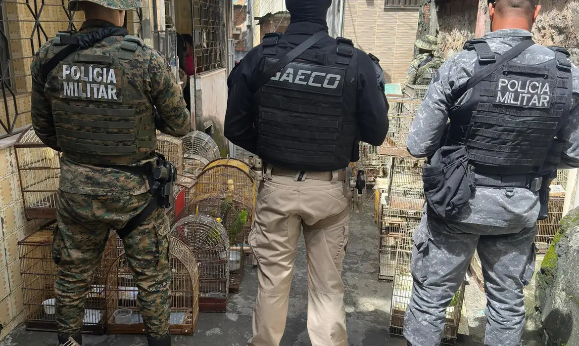 Operação prende na Bahia um dos maiores traficantes de animais do país