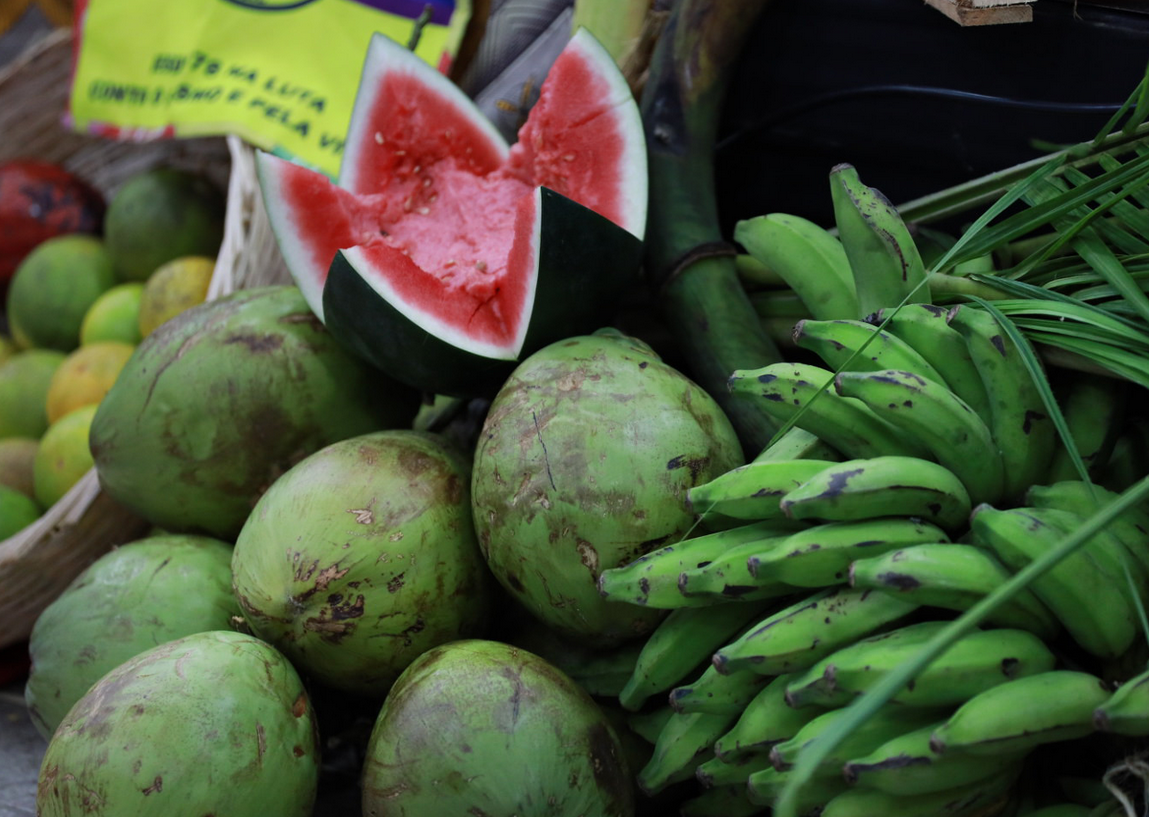 Revista Bahia Análise & Dados abre chamada para artigos sobre soberania e segurança alimentar e nutricional