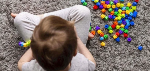 O transtorno do espectro autista pode ser o preço pago pela inteligência humana