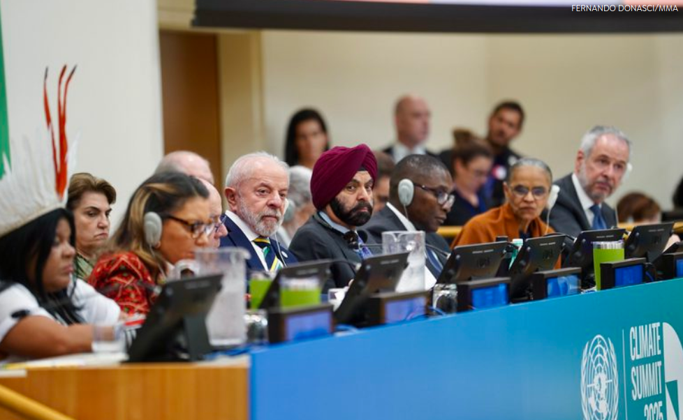 Fundo Florestas Tropicais para Sempre proposto pelo governo do Brasil é finalista do Prêmio Earthshot