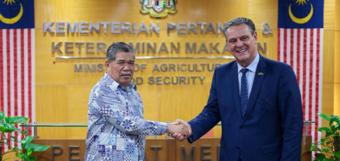 Brasil retoma exportações de carne de frango para a Malásia