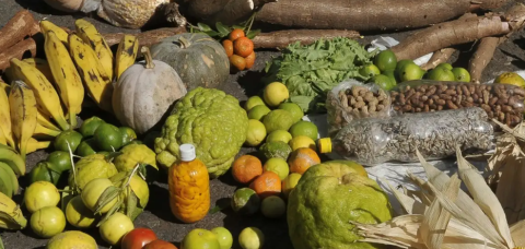 Agricultura familiar do Nordeste vai à maior feira mundial alimentos