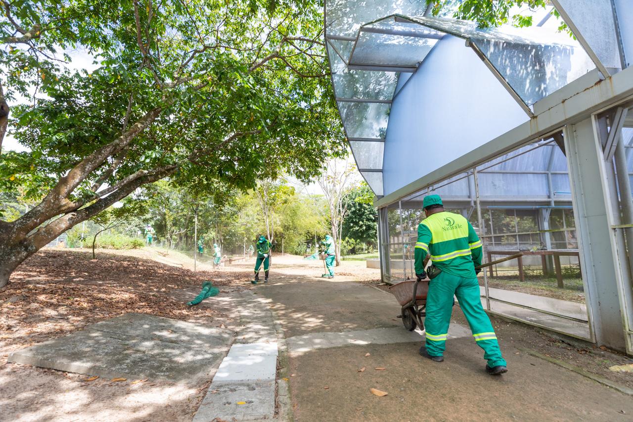 Horto Florestal de Camaçari passa por manutenção