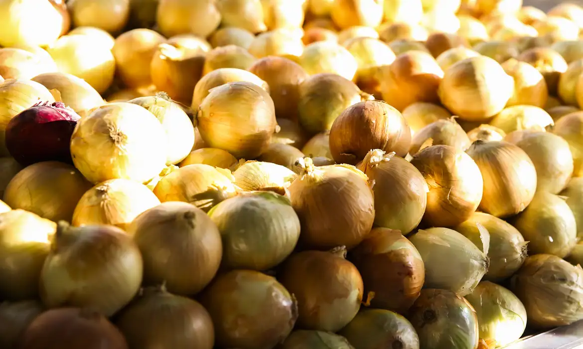 Inflação acumulada dos alimentos é a menor desde setembro de 2024