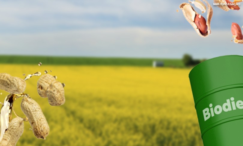 Com a chegada de Filipinas, Guatemala e Nicarágua, Brasil abre 496 mercados desde 2023