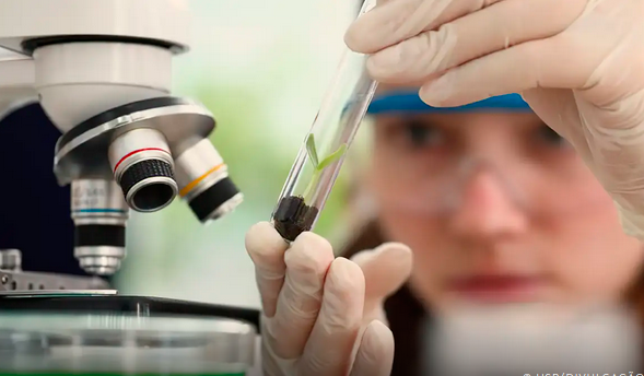 Observatório lança edital do programa Meninas Cientistas do ON