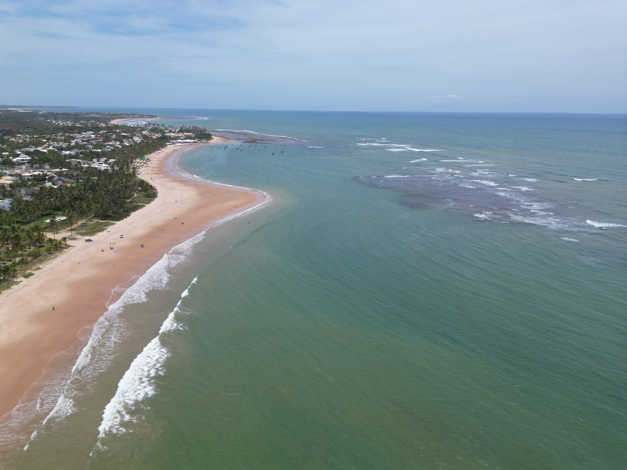 Sedur realiza ação de proteção de ninhos de tartarugas em Guarajuba