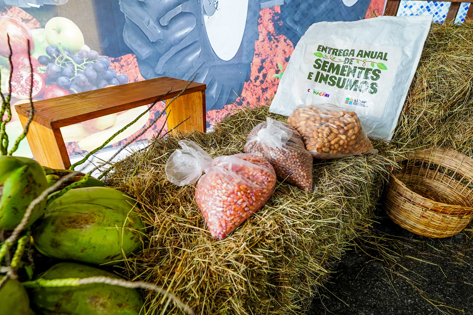 Prefeitura entrega 92 toneladas de sementes e insumos para produtores rurais