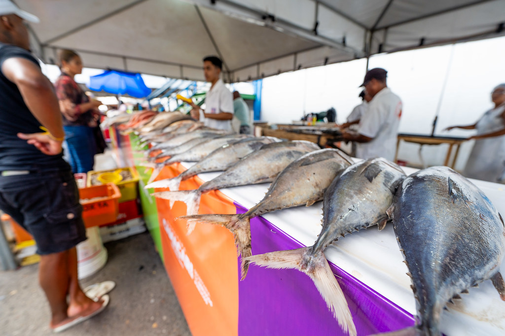 Semana Santa: população pode adquirir produtos na Feira do Peixe nesta quinta-feira