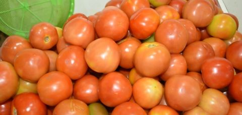 Tomate sobe quase 25% e alimentos pesam no bolso na Grande Salvador